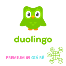 Nâng Cấp Doulingo Super (12 Tháng)